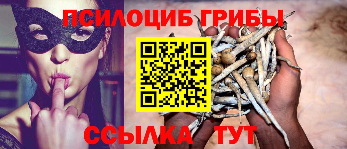 Ярославль  Псилоцибиновые грибы Magic Shrooms  Псилоцибиновые грибы мицелий  Вход с VPN 