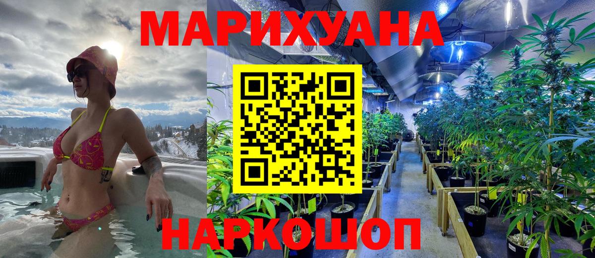 Ярославль  Бошки марихуана планчик  Вход с VPN  Каннабис VHQ  Конопля White Widow  Бошки марихуана сатива 